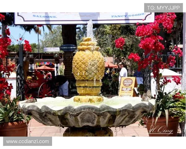 小卡分享圣地亚哥的轻松氛围与友善人群让人倍感自在的生活体验